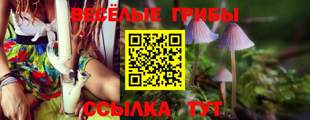 Псилоцибиновые грибы Psilocybe Ливны